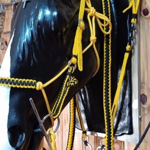 Traia para cavalo completa